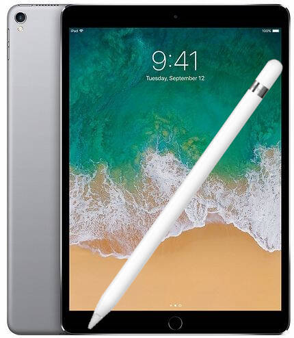 Apple iPad Pro A1709 Cellular 4GB 256GB Space Gray Class A- iOS + Apple Pencil Gen 1 stylus.