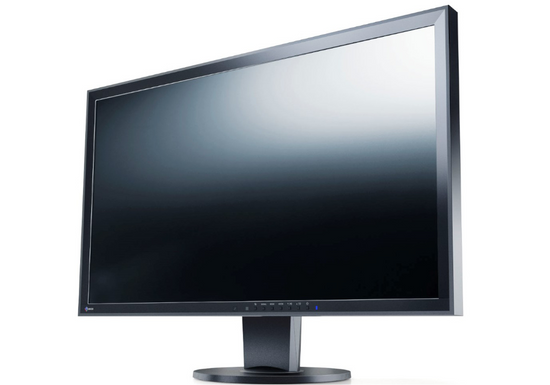 EIZO EV2316W 23" monitor LED 1920x1080 TN D-SUB DisplayPort černý + iPod NN