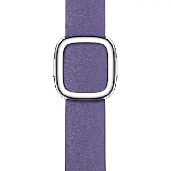 Original Apple Modern Buckle Wisteria 41mm Strap Size S