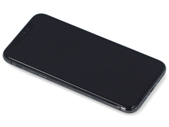 Apple iPhone X A1901 3GB 64GB Space Gray Ausstellungsstück iOS