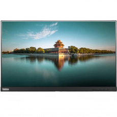 Lenovo ThinkVision T24i-10 24" LED 1920x1080 DisplayPort Монітор без підставки клас A