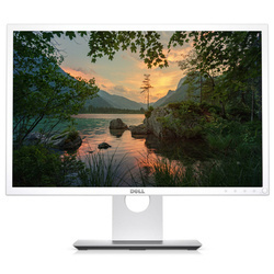 Dell P2217WH 22'' світлодіодний монітор 1680x1050 HDMI білий у класі A