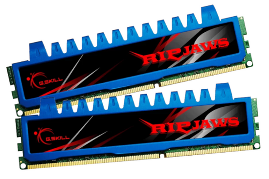 RAM-Speicher G.SKILL RipjawsX 4GB (2x2GB) DDR3 1333MHz DIMM CL8
