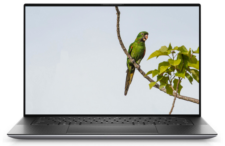 Dell Precision 5560 i7-11850H 32GB 1TB 1920x1200 nVidia Quadro