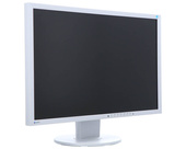 Monitor EIZO EV2316W 23" LED 1920x1080 TN D-SUB DisplayPort Bílý Třída A (PZ)