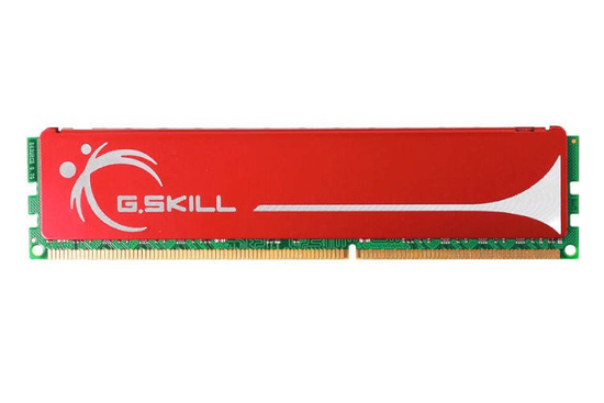 G.SKILL Performance RAM 4GB (2x2GB) DDR3 1600MHz DIMM CL9 OEM memory