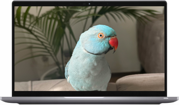 Dell Latitude 7420 Touchscreen Argento i7-1185G7 16GB 512GB SSD 1920x1080 Classe A- Windows 11 Professional