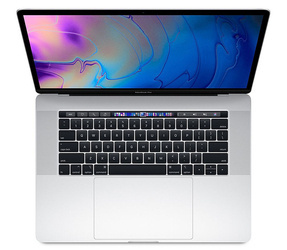 Apple MacBook Pro 15" A1990 2018r Argento i7-8750H 16GB 256GB SSD 2880x1800 AMD Radeon Pro 555X Classe A- MacOS Big Sur 