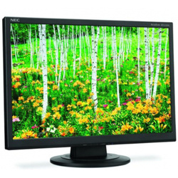 NEC AS221WM 22" LCD 1680x1050 TN Negro en monitor Clase A