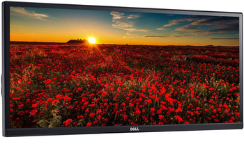 Немає підставки Dell UltraSharp U2913WM 29-дюймовий світлодіодний монітор 2560x1080 HDMI DisplayPort чорний клас A