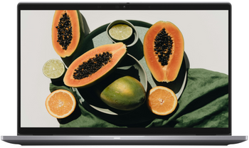 Dell Latitude 7410 Сріблястий i5-10310U 8GB 512GB SSD 1920x1080 Клас A- Windows 11 Home