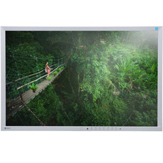 Монітор EIZO FlexScan EV2436W 24" IPS 1920x1200 LED DisplayPort Білий Без Підставки Клас A