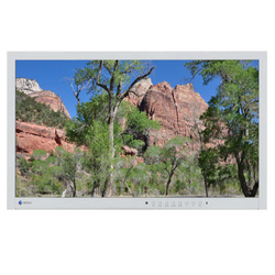 Монітор Eizo EV2335W 23" IPS 1920x1080 LED DisplayPort Без Підставки Клас A