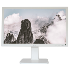 LG 24MB37PY 24" LED монітор 1920x1080 IPS VGA DVI DP білий